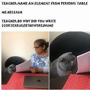 Image result for Cat Looking at Paper Meme