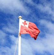 Image result for Tongan Flag Design