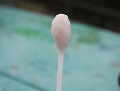 Image result for Giant Cotton Bud
