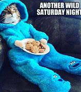 Image result for Cat Lying On Couch Meme