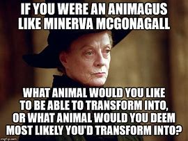 Image result for McGonagall Memes