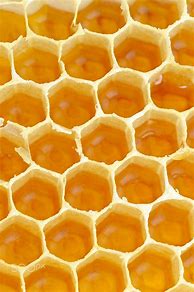 Image result for Honey Background Aesthetic