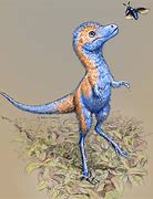 Image result for Baby Dinosaur Found Alive