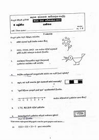 Image result for Grade 6 Past Papers