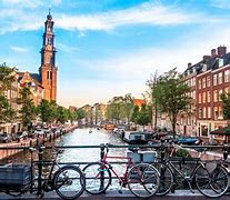 Image result for Amsterdam Trip