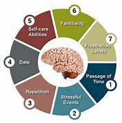 Image result for Aging Memory
