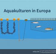 Image result for Aquakultur Grafik
