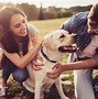 Image result for Simmons Pet Food