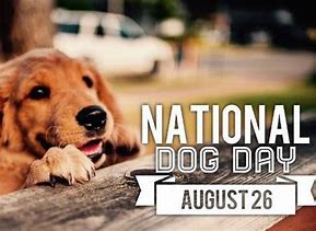 Image result for National Dog Day Meme