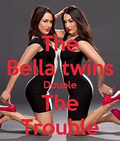 Image result for Bella Twins Poster