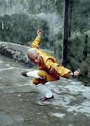 Image result for Shaolin Art