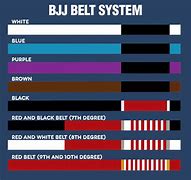 Image result for Brazilian Jiu-Jitsu Belt System