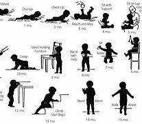 Image result for Infant Physical Development