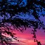 Image result for Colorful Sky iPhone Wallpaper