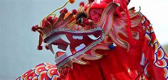 Image result for Chinese New Year Infographic