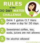 Image result for 40-Day Water Challenge