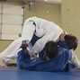 Image result for Jiu Jitsu Basic Techniques