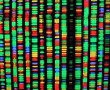 Image result for Human DNA Petabytes