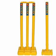 Image result for Plastic Wicket