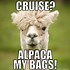 Image result for Booze Cruise Meme