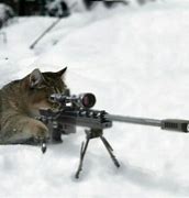 Image result for Sniper Cat Meme