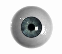 Image result for Funny Eyes with No Background