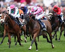 Image result for Form 2 Win Horse Racing