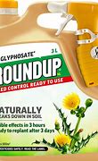 Image result for Roundup Active Ingredients