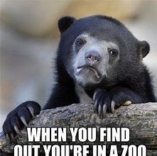 Image result for Zoo Animal Memes