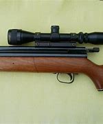 Image result for Sharp Air Rifle