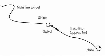 Image result for Fishing Hooks and Sinkers