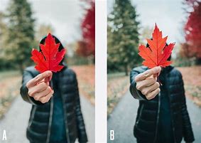 Image result for iPhone Photography Examples