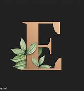 Image result for Graphic Design Letter E