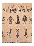 Image result for Harry Potter Bestiary