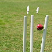 Image result for Cricket Ball and Stumps