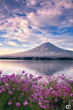 Phúc Jindo's post｜Autumn skyCherry blossoms 🌸 in autumnMt. Fuji in ...