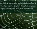 Image result for A Cool Spider Saying