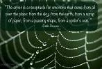 Image result for Spider Sayings