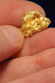 Image result for 24 Karat Gold Nugget