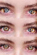 Image result for Purple Yellow Contact Lenses