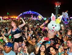 Image result for EDC Crowd