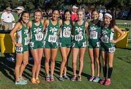 Image result for Fort Defiance High School Girls Cross Country Team