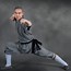 Image result for Shaolin Kung Fu Weapons Form