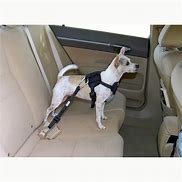 Image result for Dog Car Harness