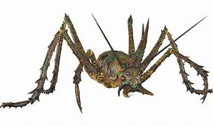 Image result for IRL Cave Cricket