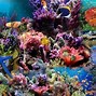 Image result for Underwater Background Fish and Coral