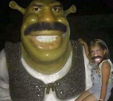 Image result for Shrek Phone Case Memes