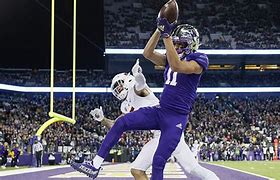 Image result for Huskies Apple Cup