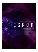 Image result for eSports 4K