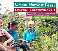Image result for Cultivate The Feast